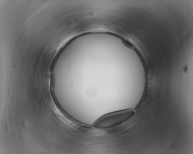 X0000115721476200912031539