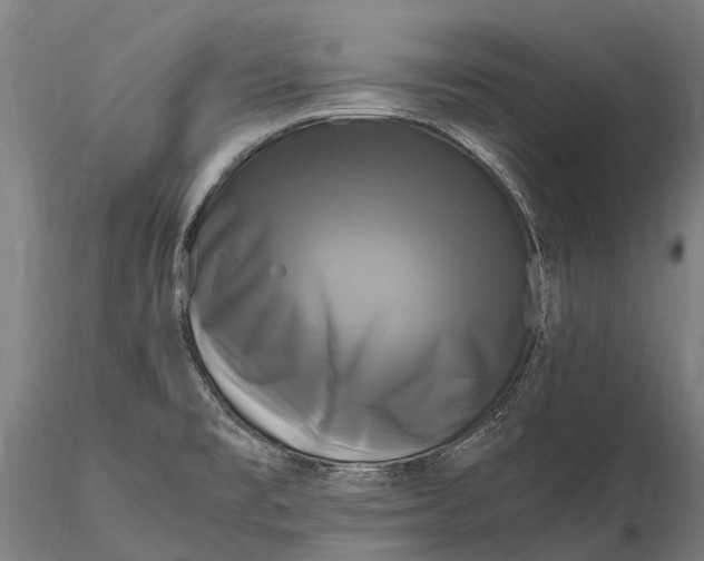 X0000115721477200912031539