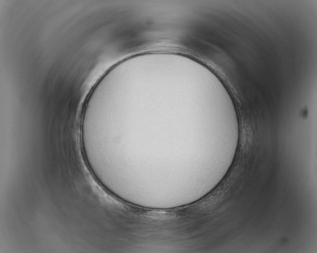 X0000115721478200912031539