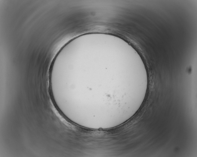 X0000115721479200912031539