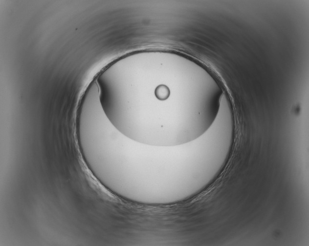 X0000115721480200912031539