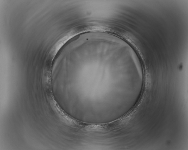 X0000115721481200912031539
