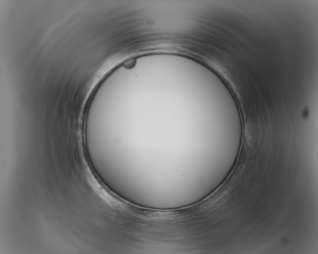 X0000115721482200912031539