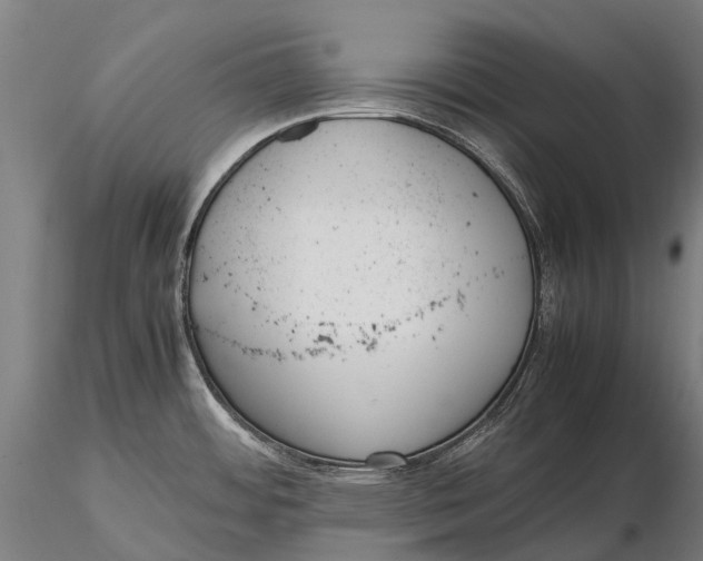 X0000115721484200912031539