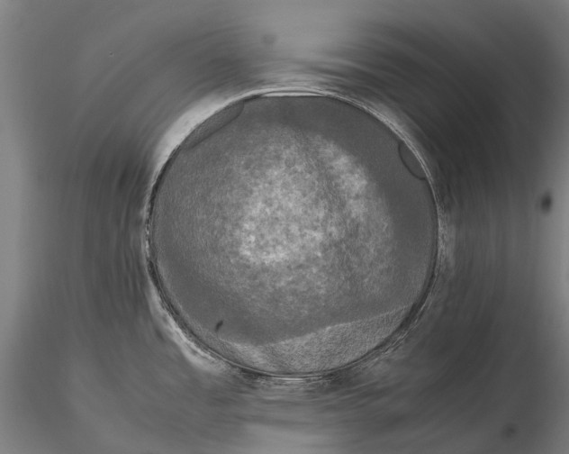 X0000115721485200912031539