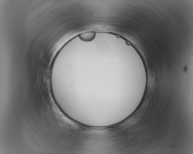 X0000115721486200912031539