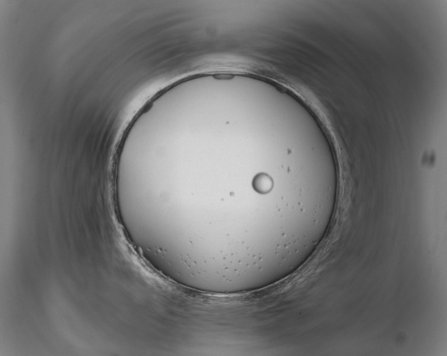 X0000115721488200912031539