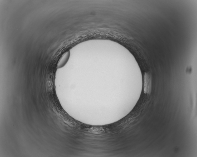 X0000115721491200912031538