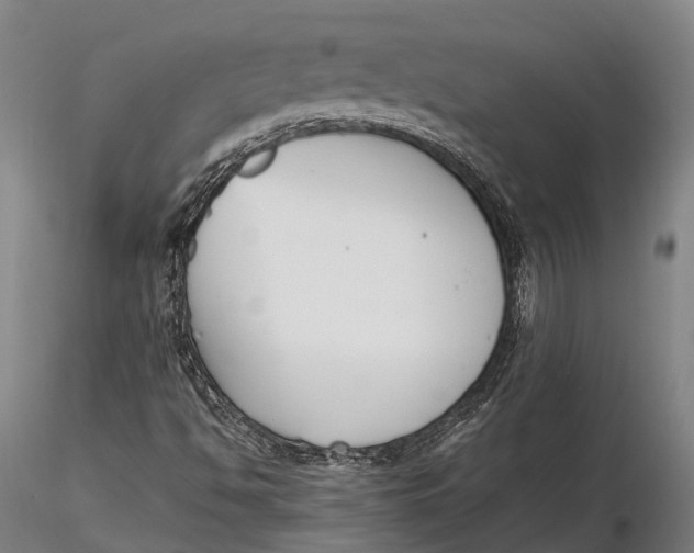 X0000115721494200912031538