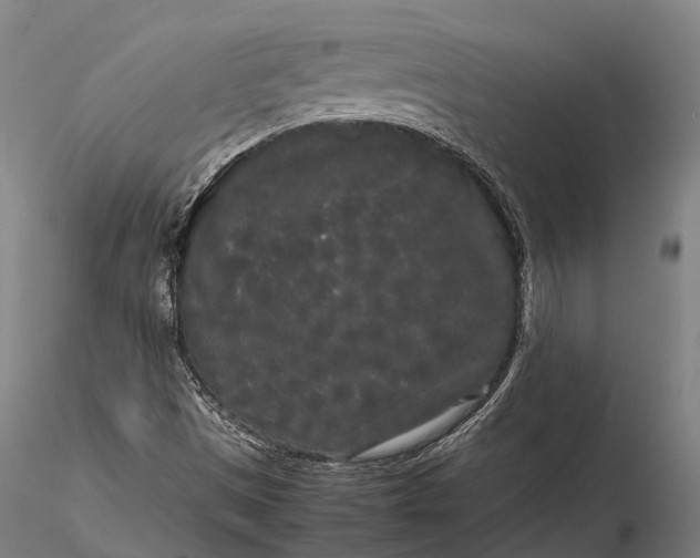 X0000115721497200912031539