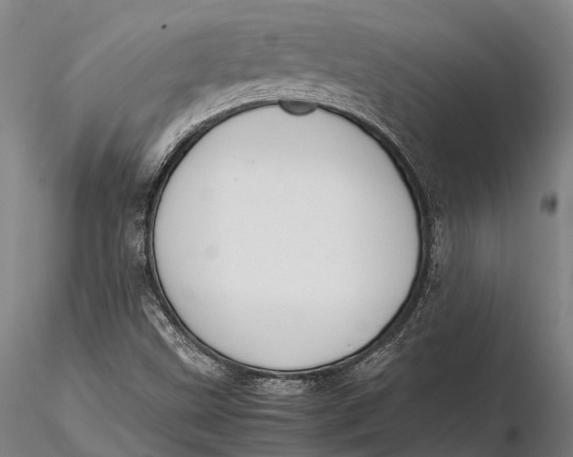 X0000115721499200912031539