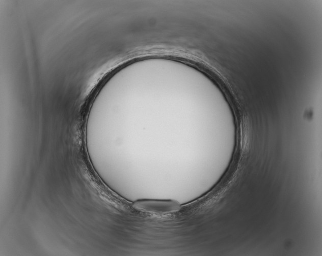 X0000115721501200912031539