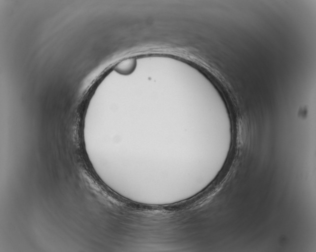 X0000115721502200912031539