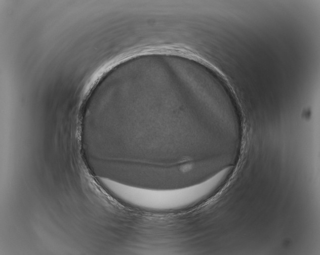 X0000115721506200912031539