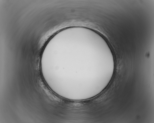X0000115721507200912031539