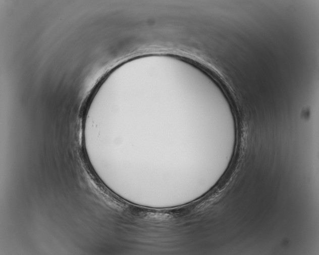 X0000115721509200912031539