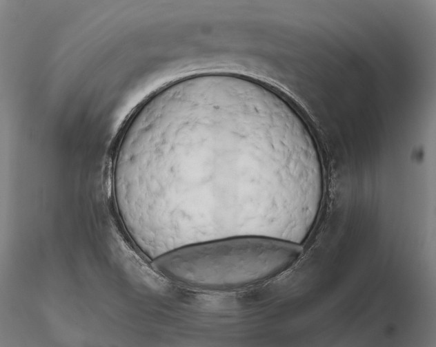X0000115721510200912031539