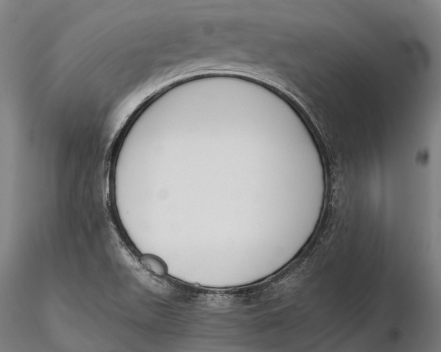 X0000115721511200912031539