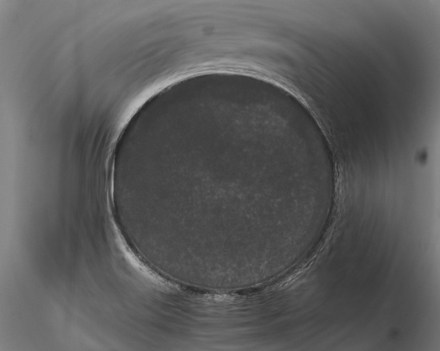 X0000115721515200912031539