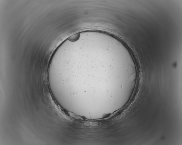 X0000115721521200912031539
