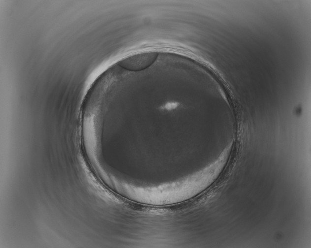 X0000115721522200912031539
