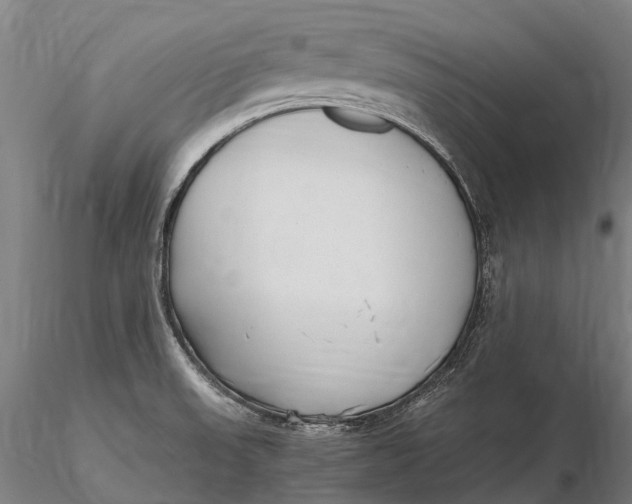 X0000115721523200912031539
