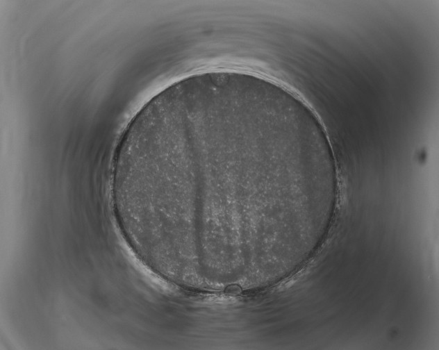 X0000115721525200912031539