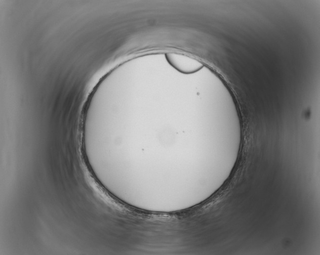 X0000115721526200912031539