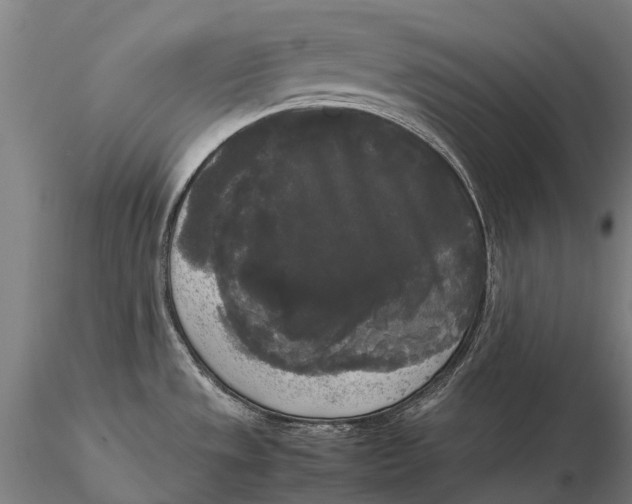 X0000115721533200912031539