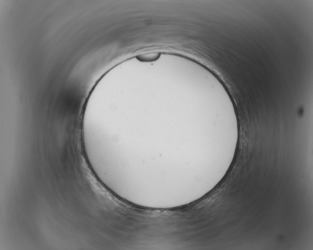 X0000115721534200912031539