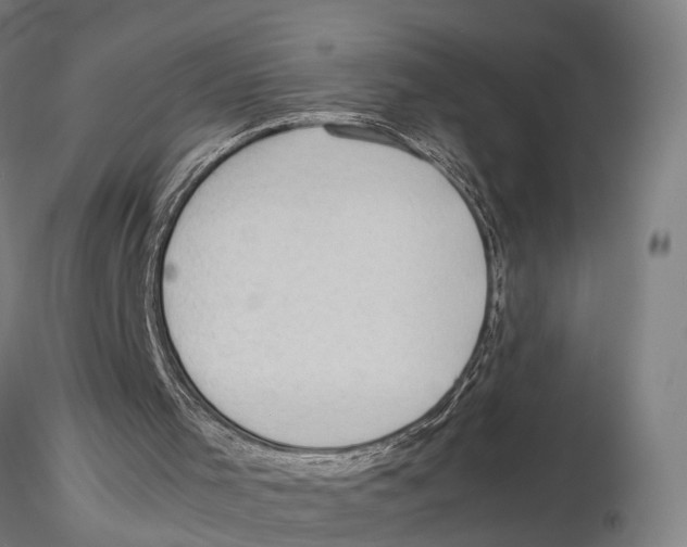X0000115720001200912101439