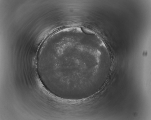 X0000115720002200912101439