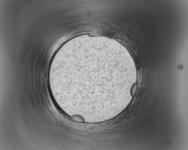 X0000115720003200912101439