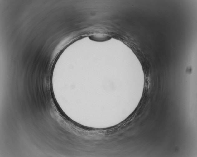 X0000115720004200912101439