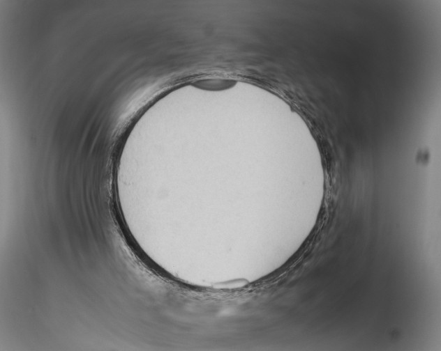 X0000115720005200912101439