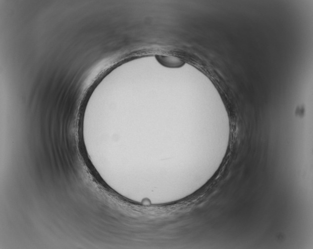 X0000115720006200912101439