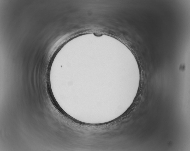 X0000115720007200912101439