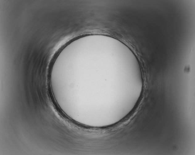 X0000115720008200912101439