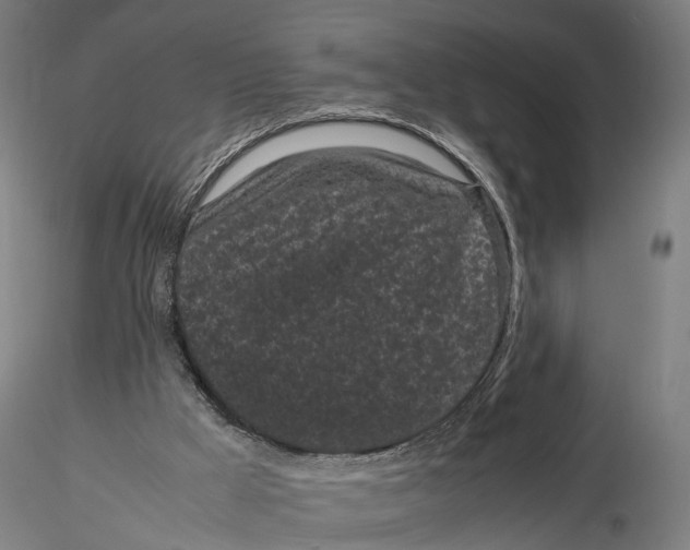 X0000115720009200912101439