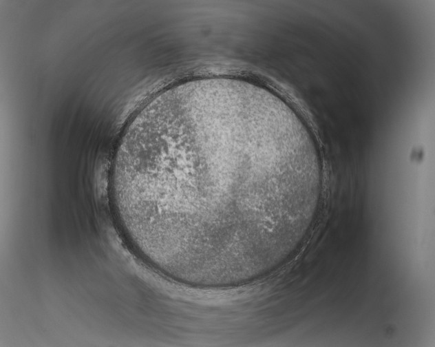 X0000115720010200912101439