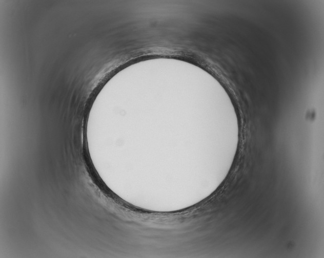 X0000115720011200912101439