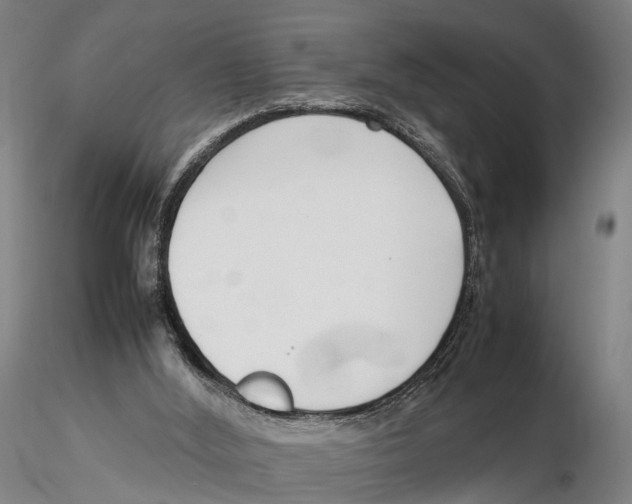 X0000115720012200912101439
