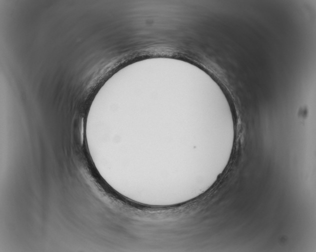 X0000115720013200912101439