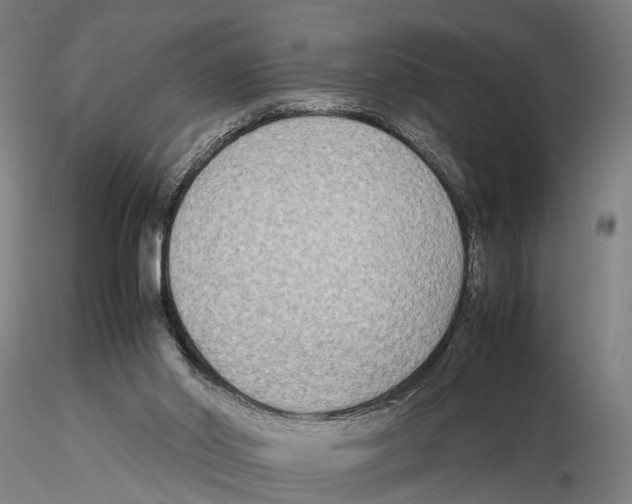 X0000115720014200912101439