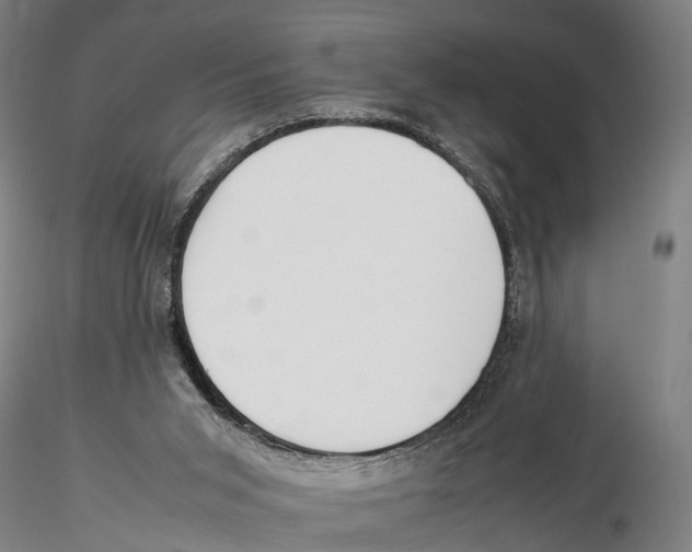 X0000115720015200912101439