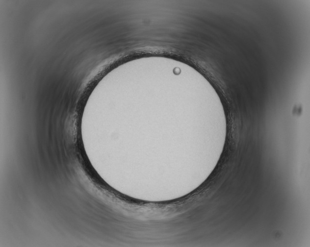X0000115720016200912101439
