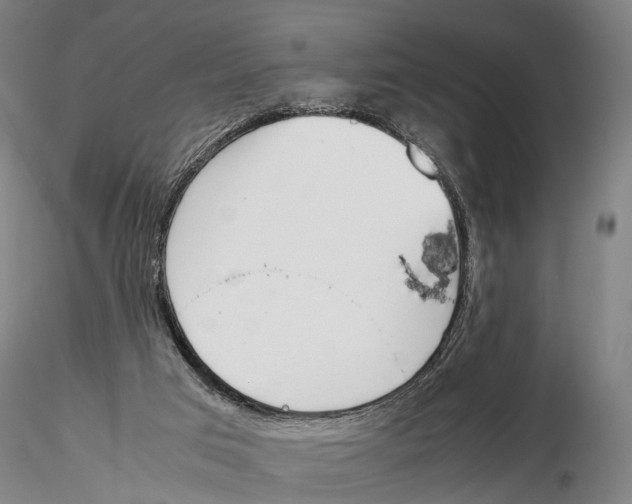 X0000115720017200912101439