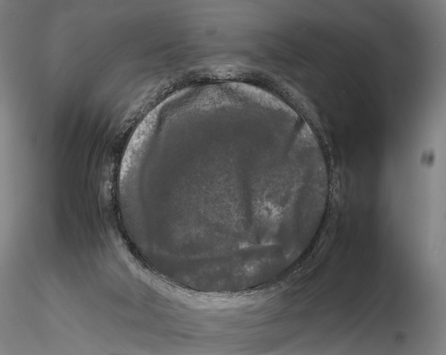 X0000115720018200912101439