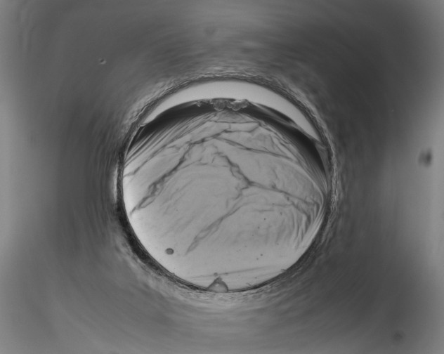 X0000115720019200912101439