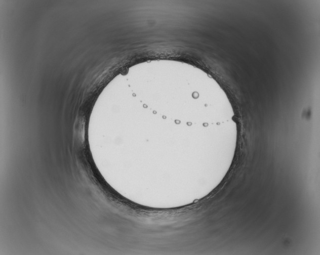 X0000115720021200912101439